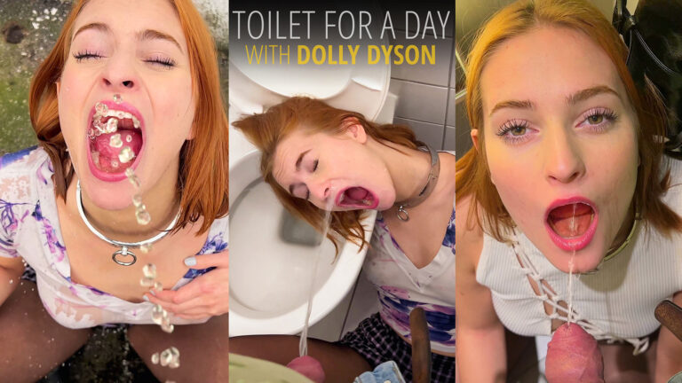 Thumbnail of Toilet for a Day with Dolly Dyson