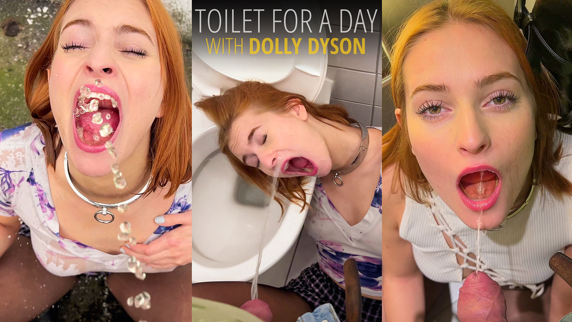 Thumbnail for Toilet for a Day with Dolly Dyson